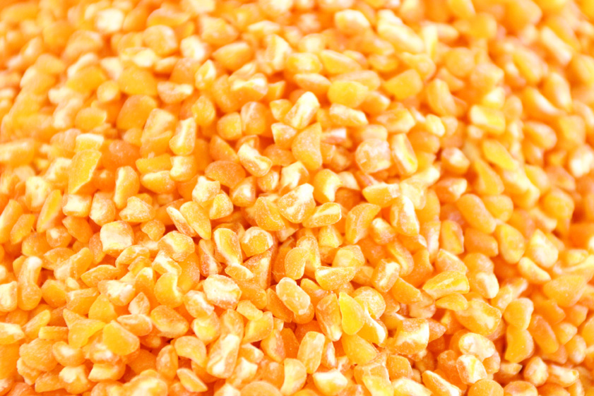 Energía de la Biomasa. Granos de maíz