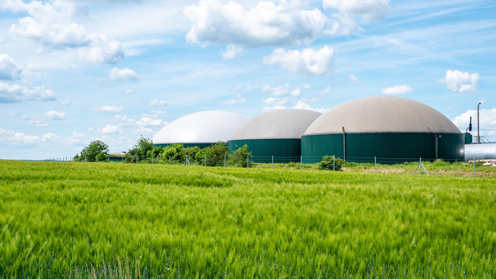 El Gobierno aprueba la Hoja de Ruta del Biogás