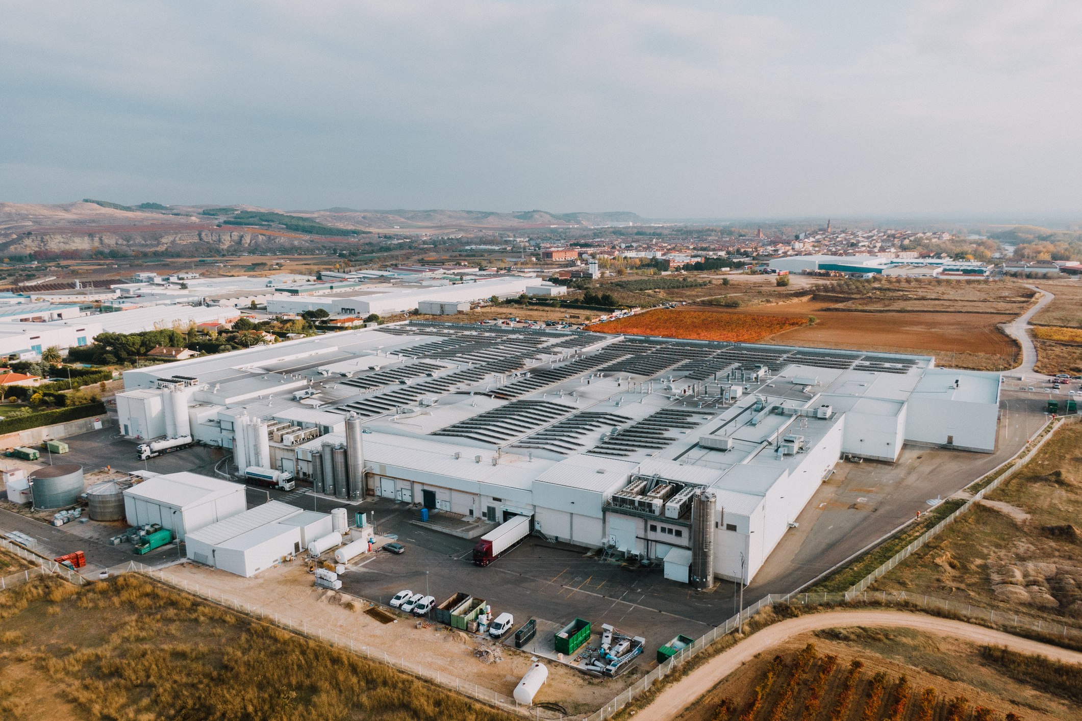 subastas europeas d...