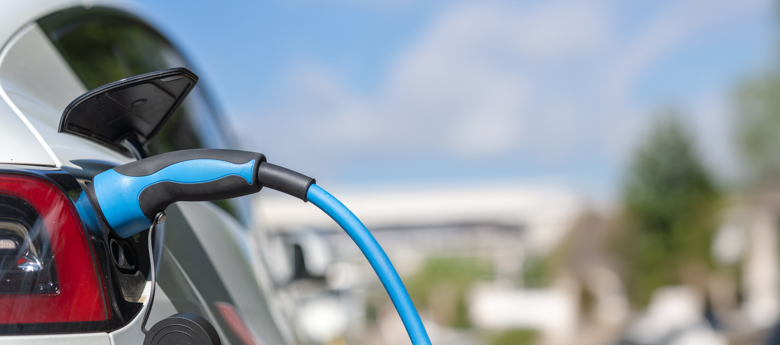 Detalle vehículo co...