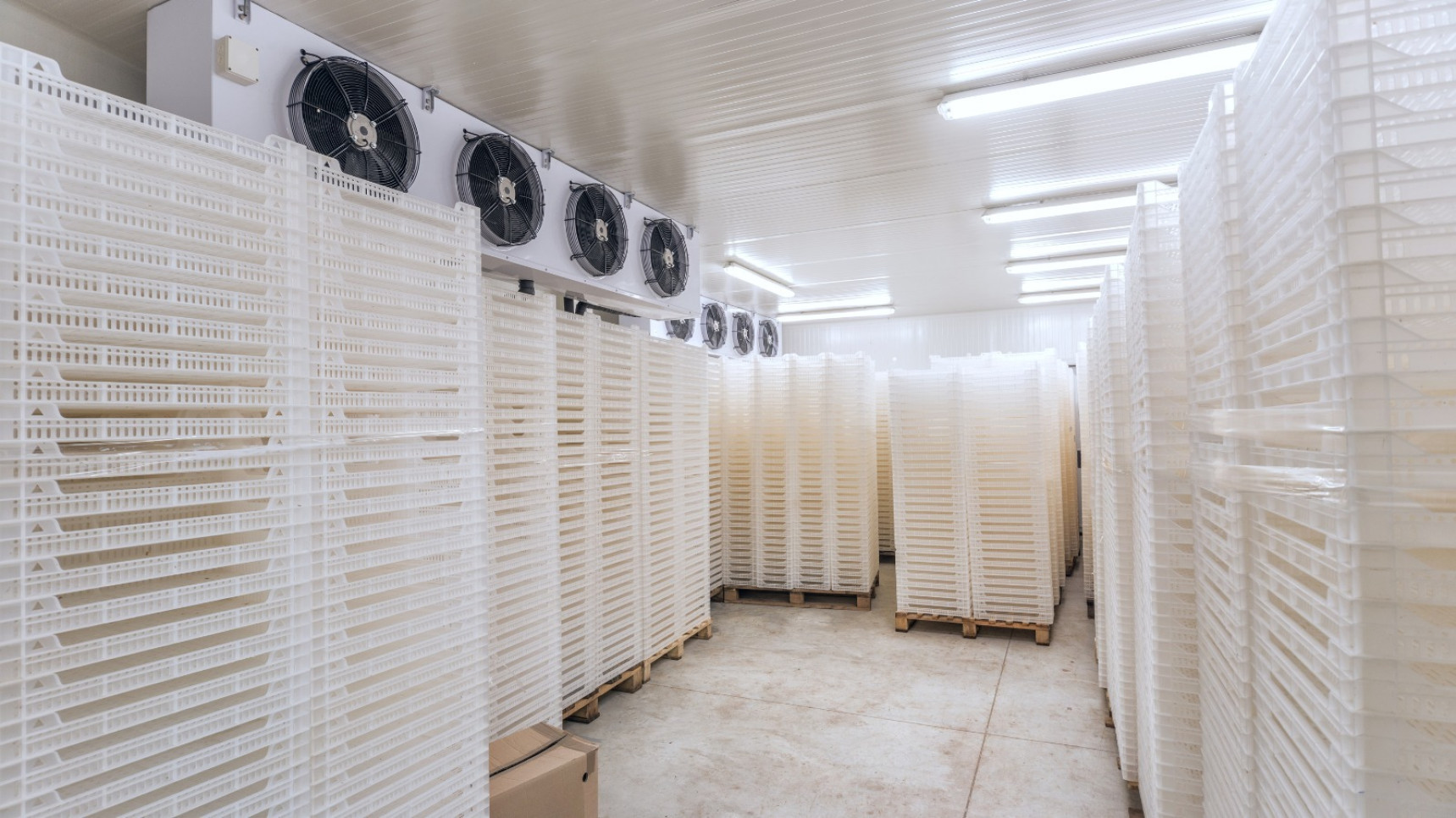 Cámara refrigerada ...